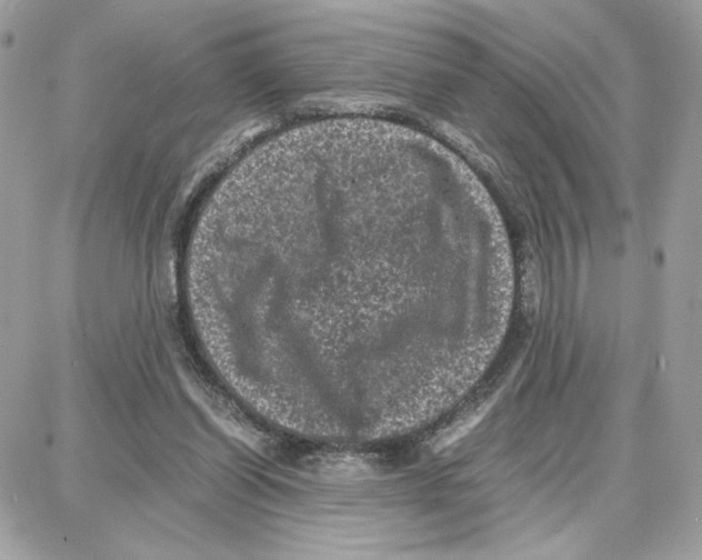 X0000087670254200706011636