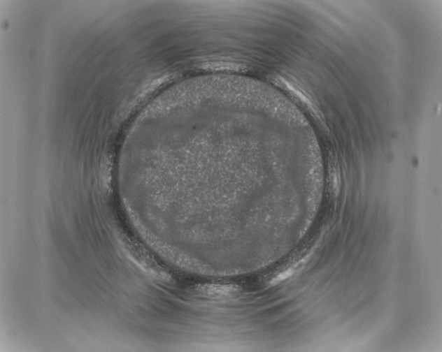 X0000087670255200706011636