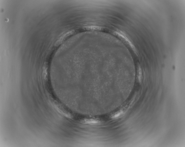 X0000087670259200706011636