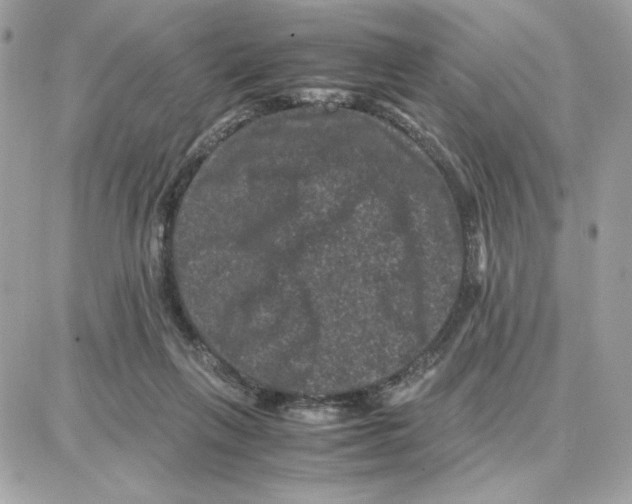 X0000087670263200706011636