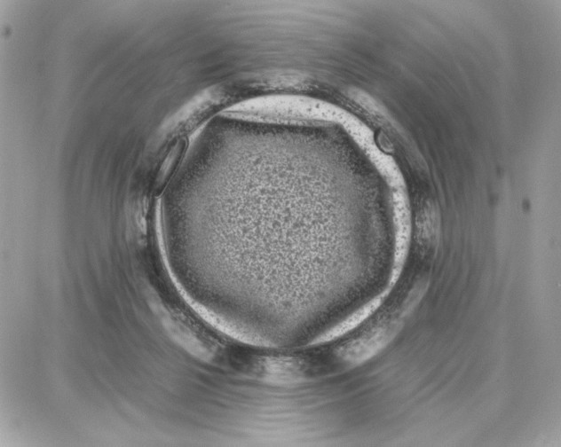 X0000087670264200706011636