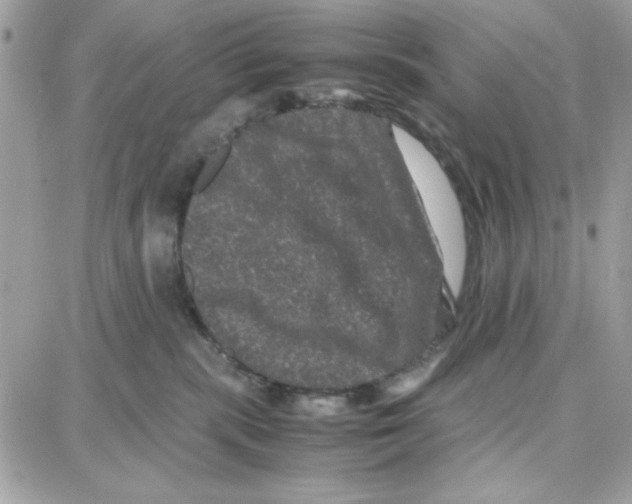 X0000087670283200706011637