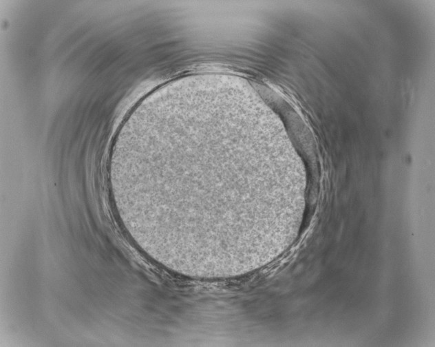 X0000087670289200706011636