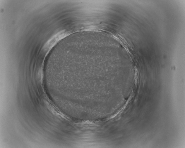X0000087670290200706011636