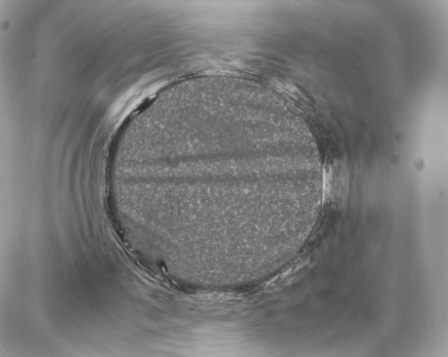 X0000087670291200706011636