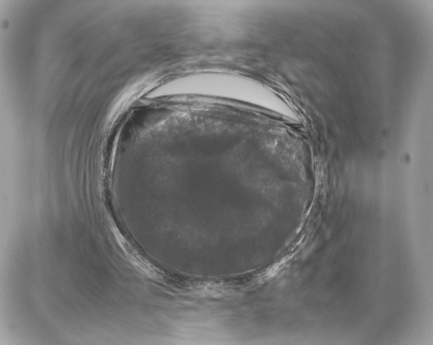 X0000087670293200706011636