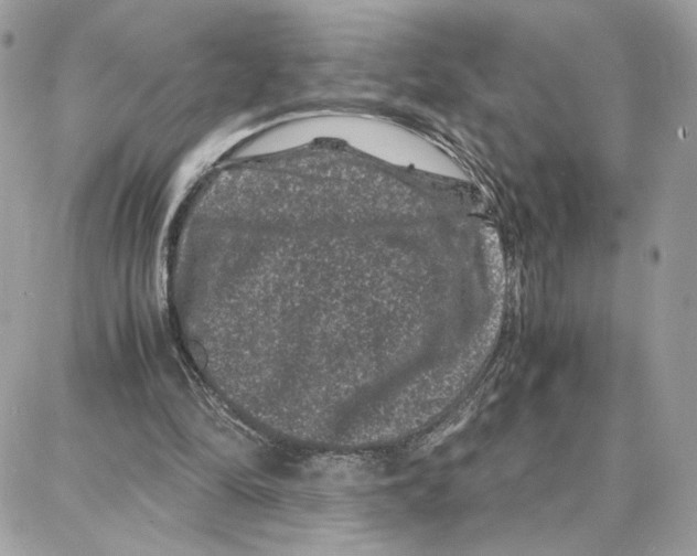 X0000087670294200706011636