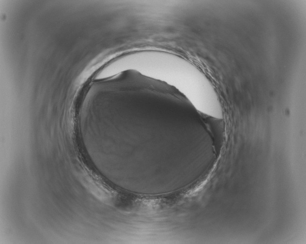 X0000087670295200706011636