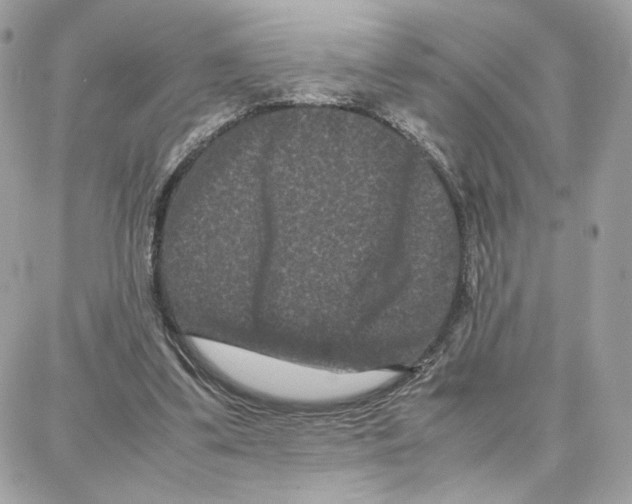 X0000087670299200706011636