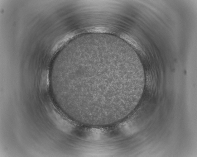 X0000087670302200706011636