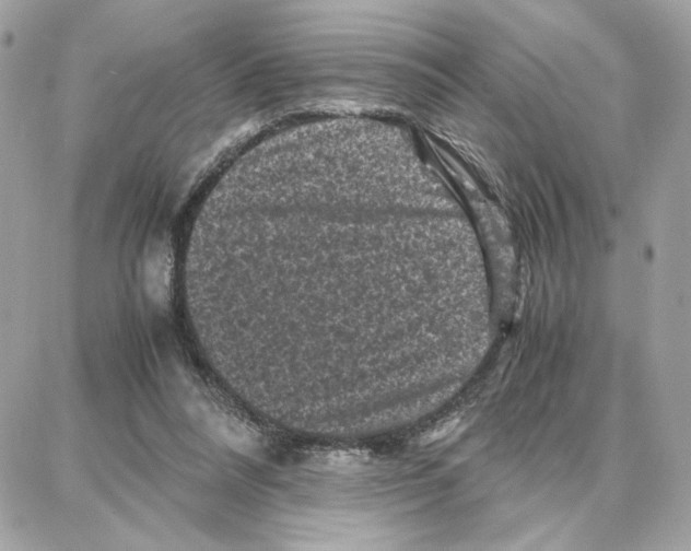 X0000087670304200706011636