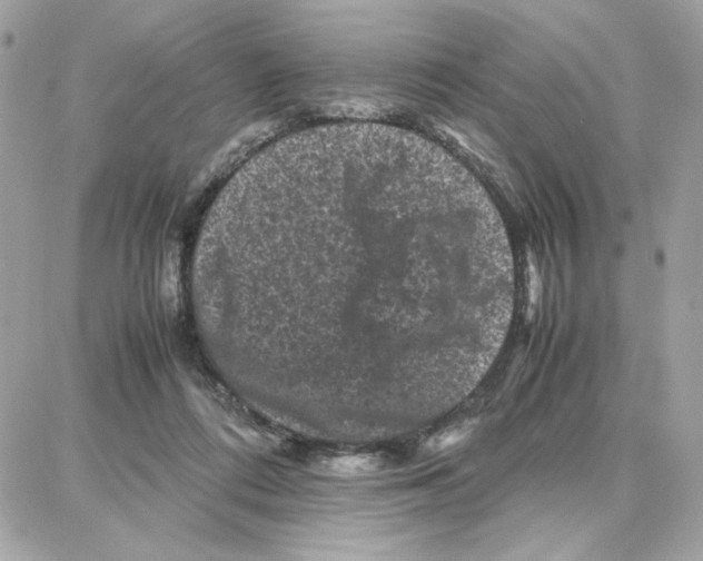 X0000087670312200706011636