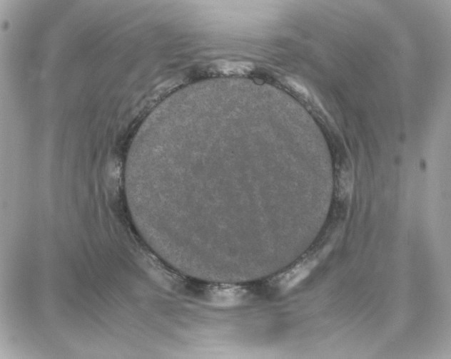 X0000087670321200706011635