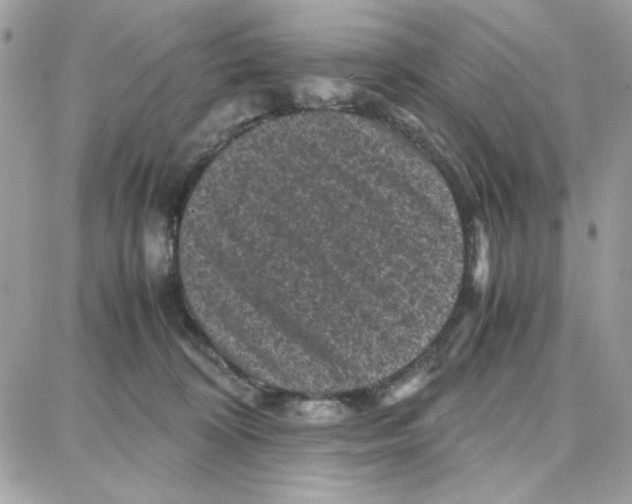 X0000087670324200706011635