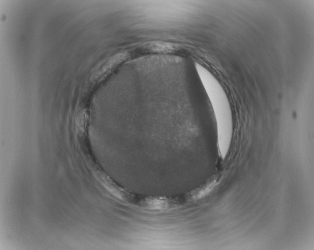 X0000087670325200706011635