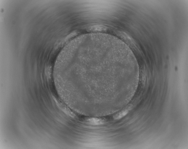 X0000087670326200706011635