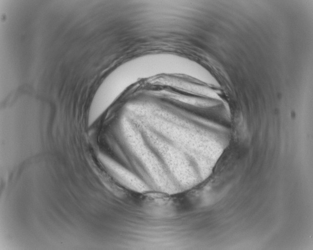 X0000087670329200706011635