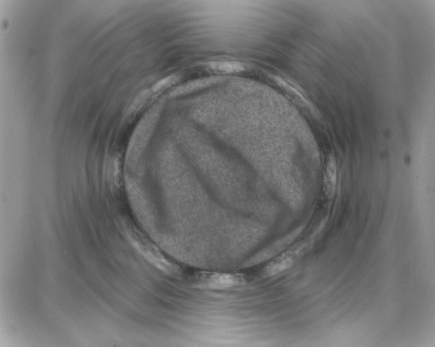X0000087670330200706011635