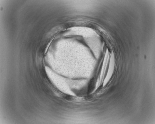 X0000087670333200706011635