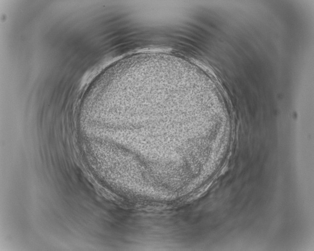 X0000087670337200706011634