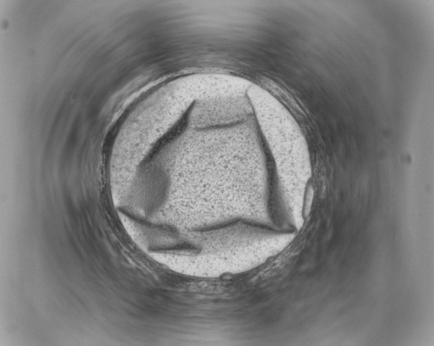 X0000087670338200706011634