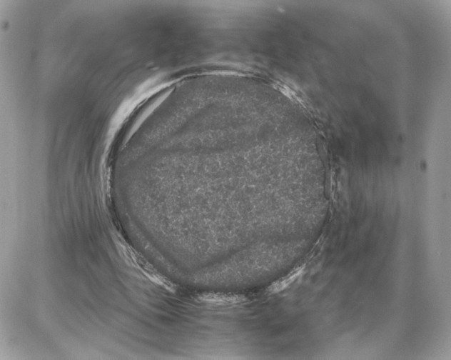 X0000087670343200706011634