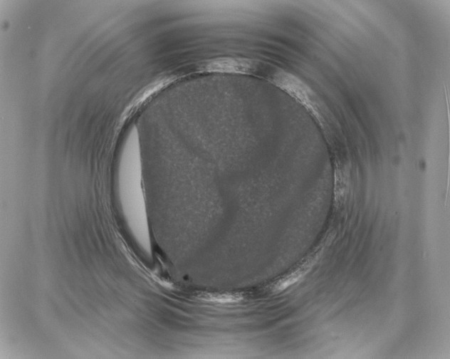 X0000087670349200706011635