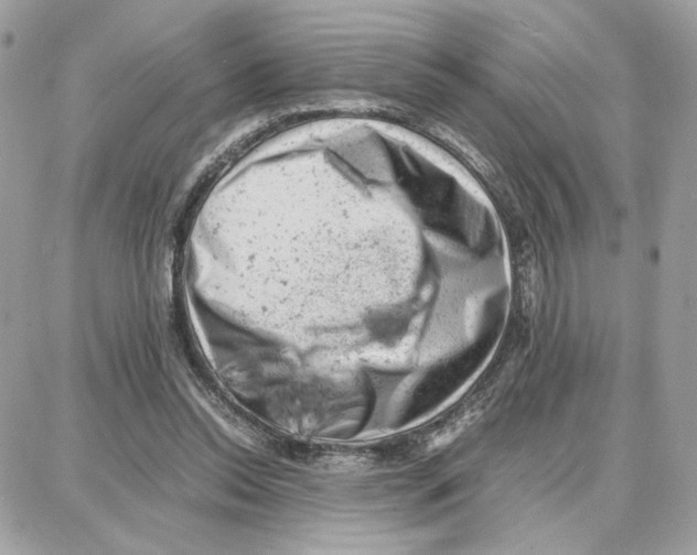 X0000087670350200706011635