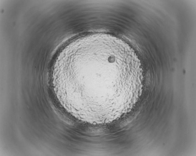 X0000087670351200706011635