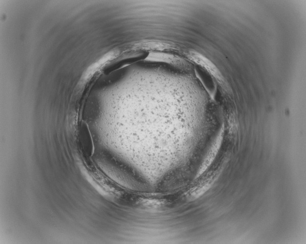 X0000087670352200706011635