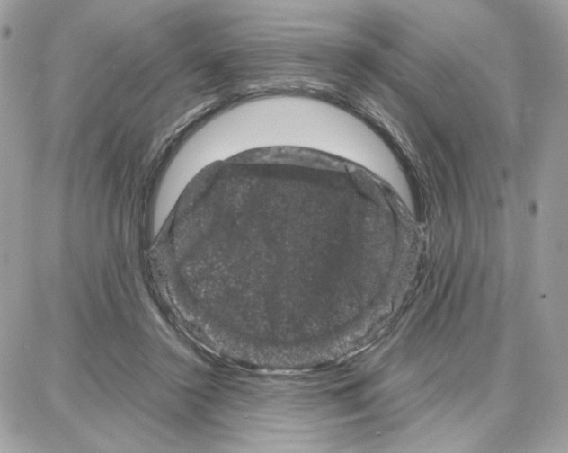 X0000087670356200706011635