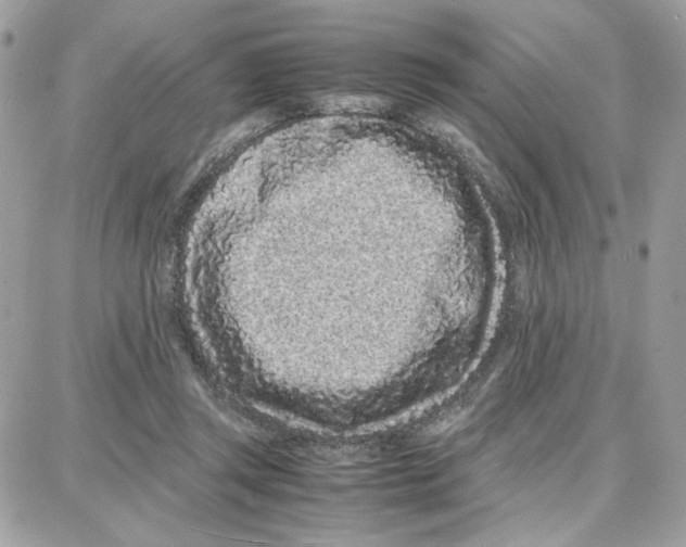X0000087670357200706011635