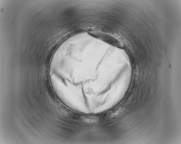 X0000087670359200706011635