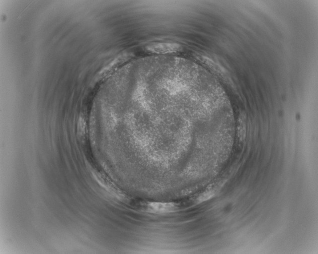 X0000087670371200706011635