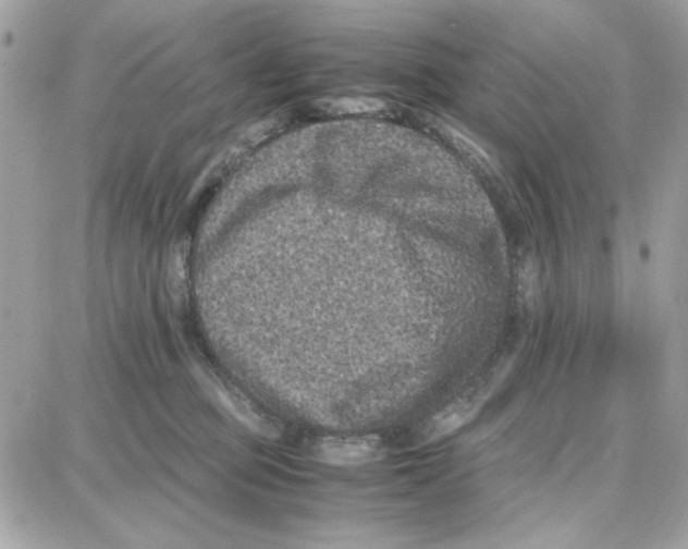 X0000087670373200706011635