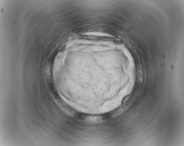 X0000087670375200706011635