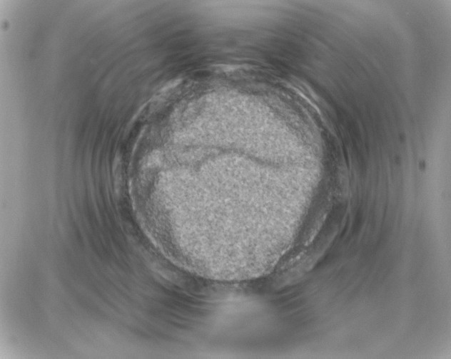 X0000087670377200706011635