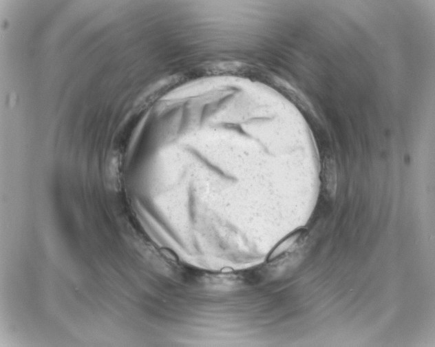 X0000087670378200706011635