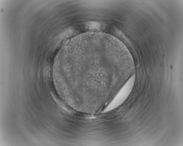 X0000087670379200706011635