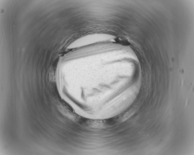 X0000087670384200706011635