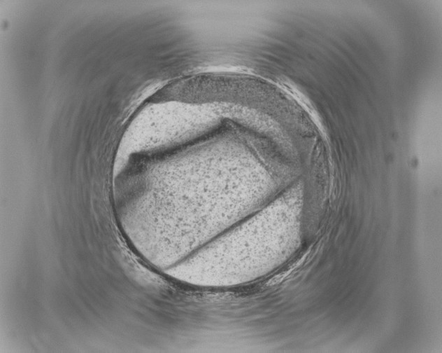 X0000087670385200706011634