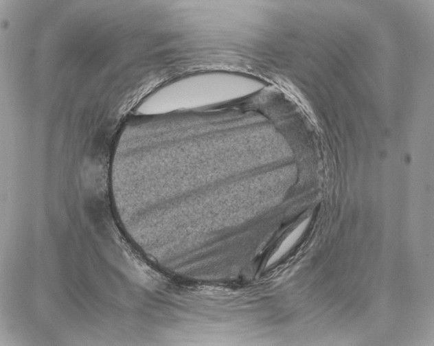 X0000087670393200706011634