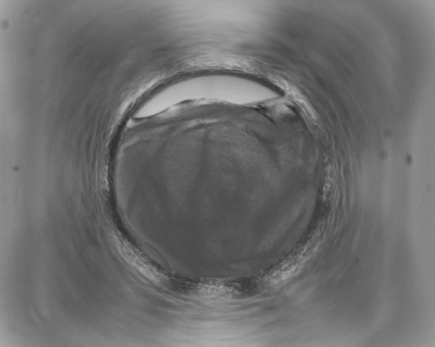 X0000087670399200706011634