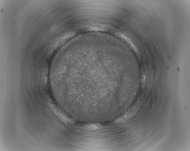 X0000087670402200706011634