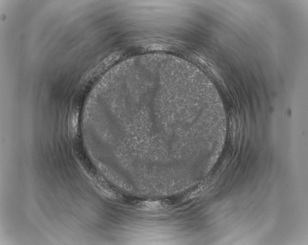 X0000087670406200706011634