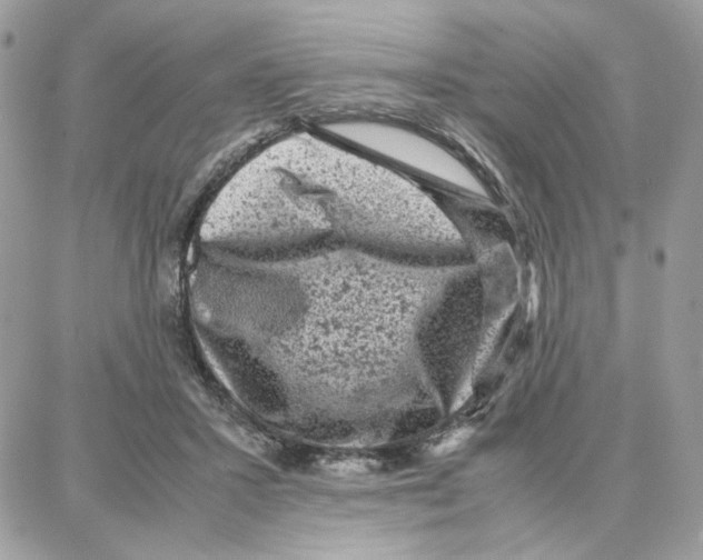 X0000087670407200706011634