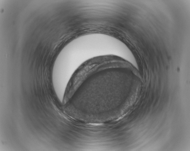 X0000087670412200706011634