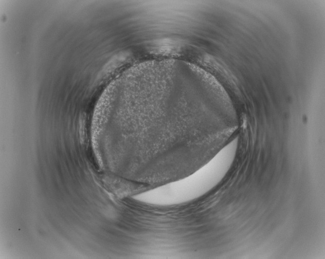 X0000087670416200706011634