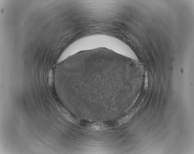 X0000087670420200706011634