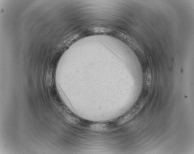 X0000087670422200706011634